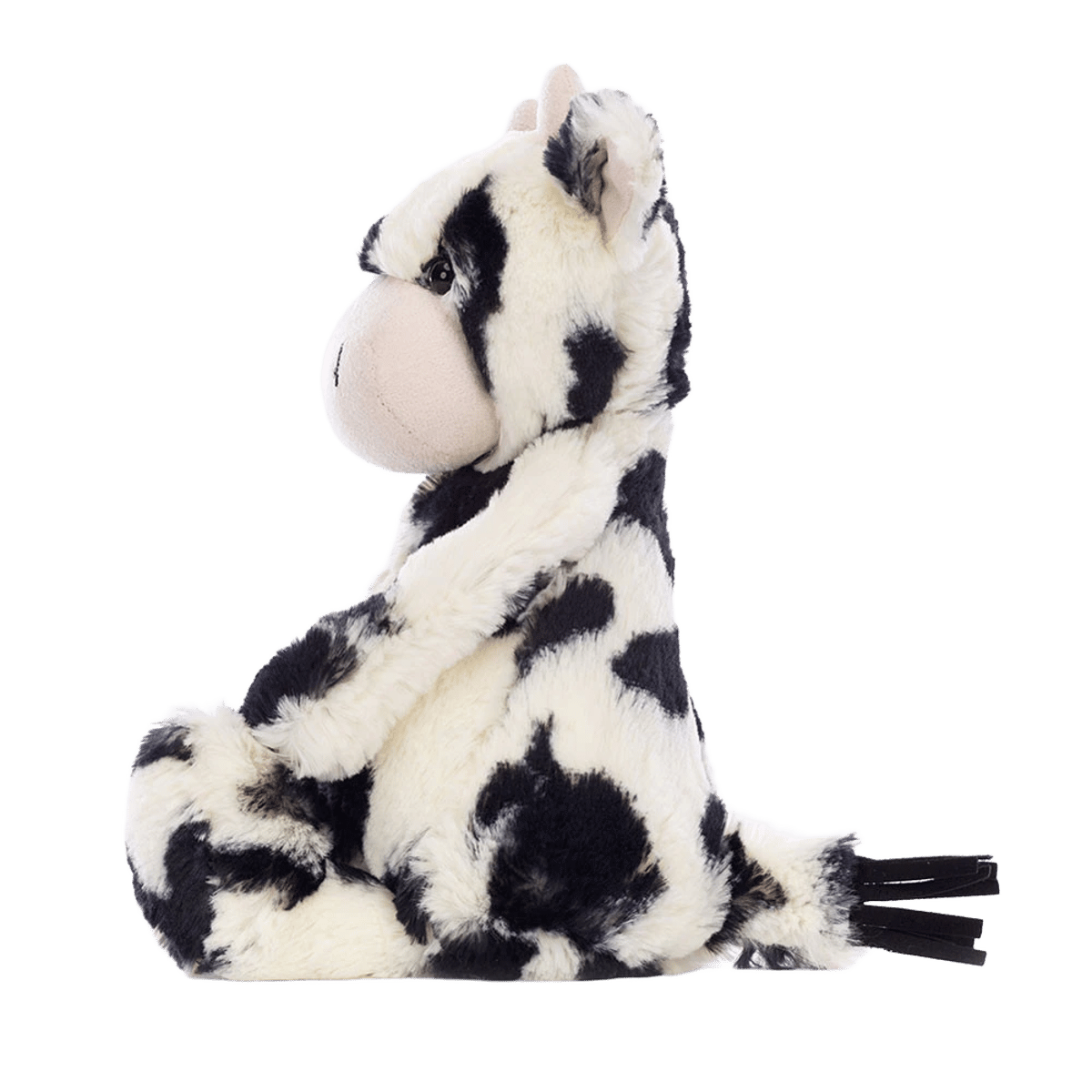 Bashful Calf