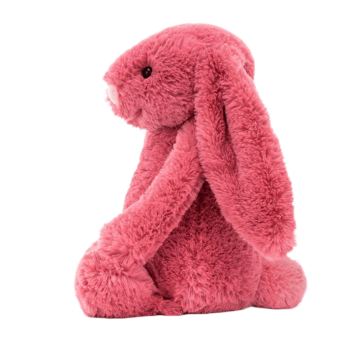Bashful Cerise Bunny