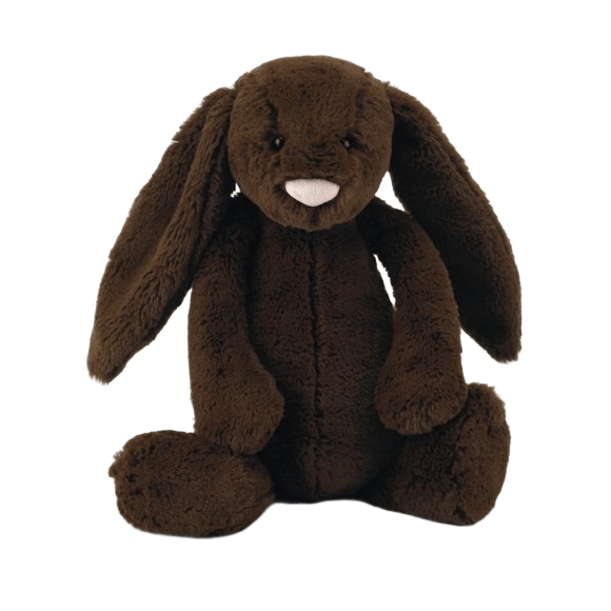 Bashful Chocolate Bunny