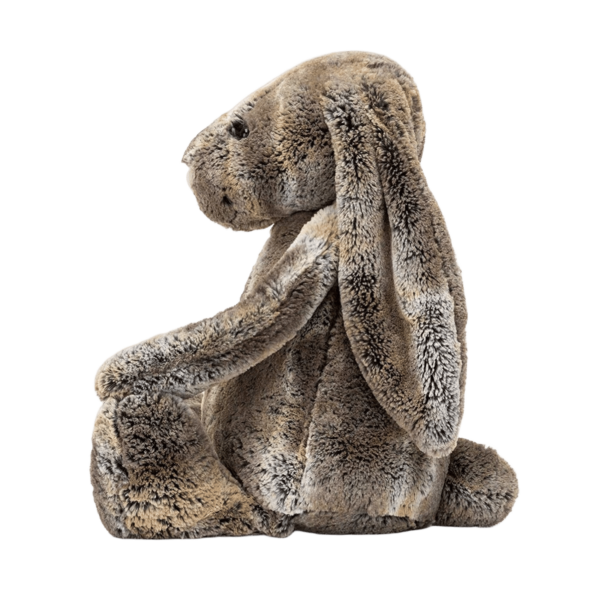 Bashful Cottontail Bunny