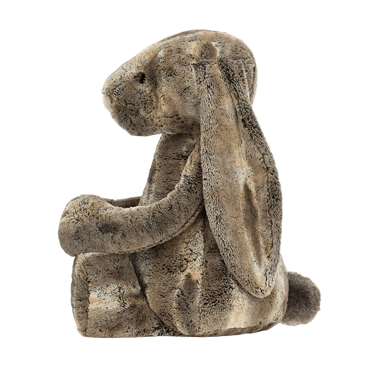 Bashful Cottontail Bunny
