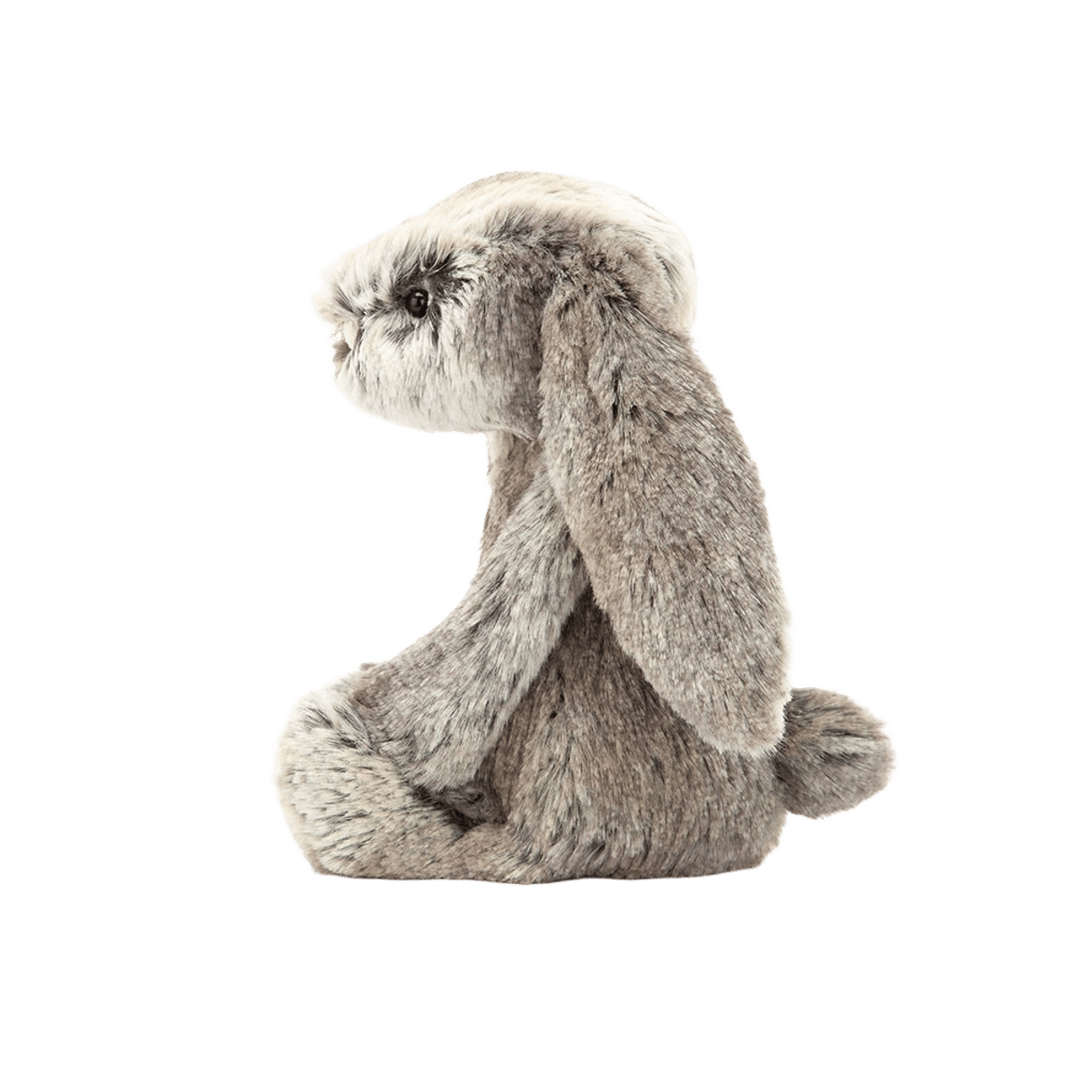 Bashful Cottontail Bunny