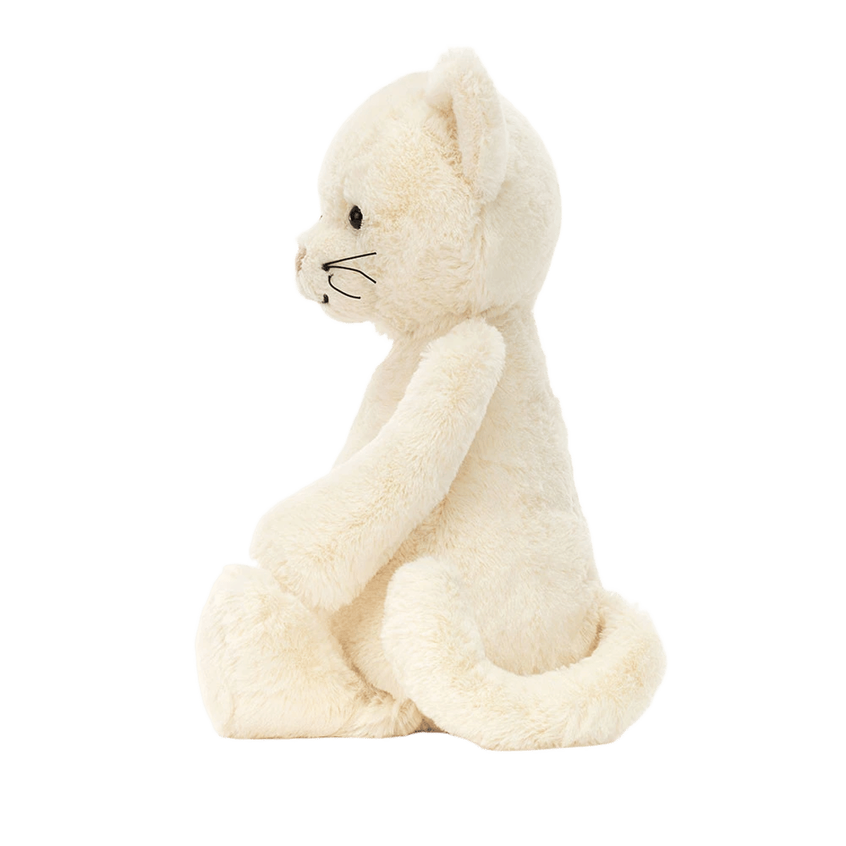 Bashful Cream Kitten