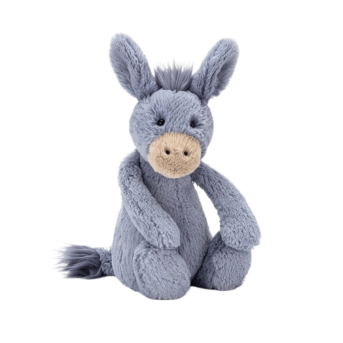 Bashful Donkey