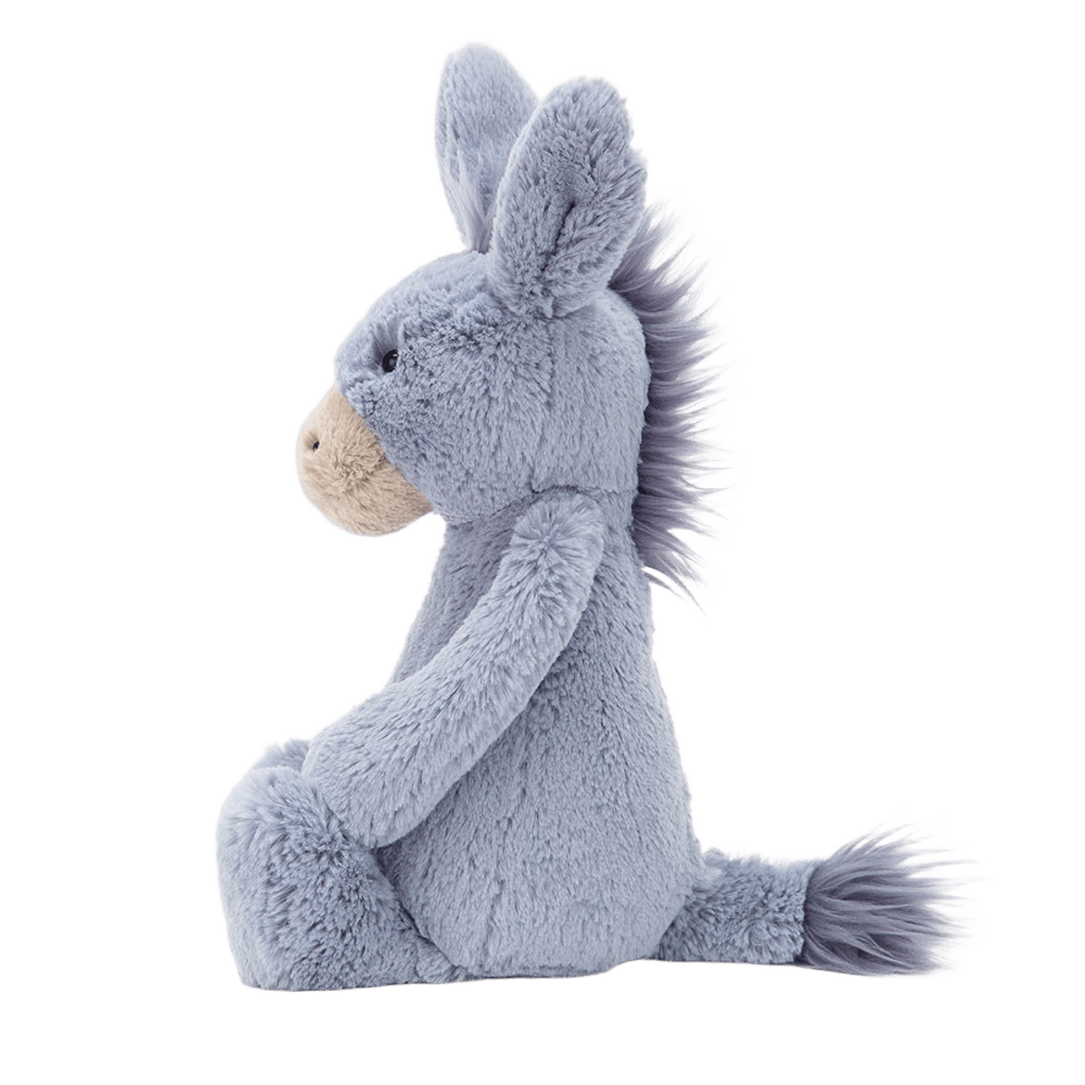 Bashful Donkey