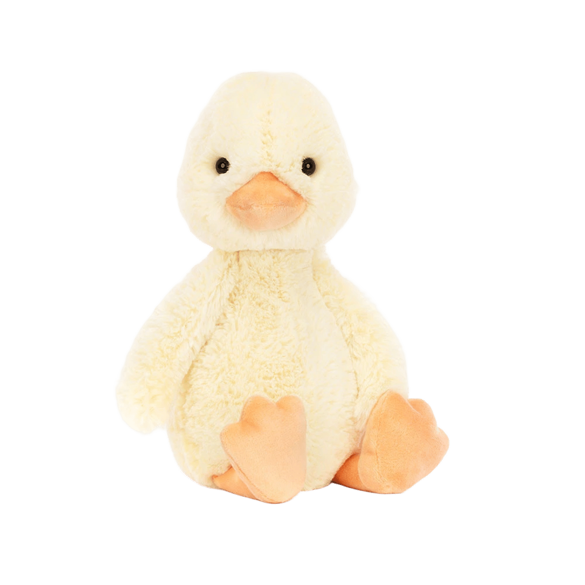 Bashful Duckling