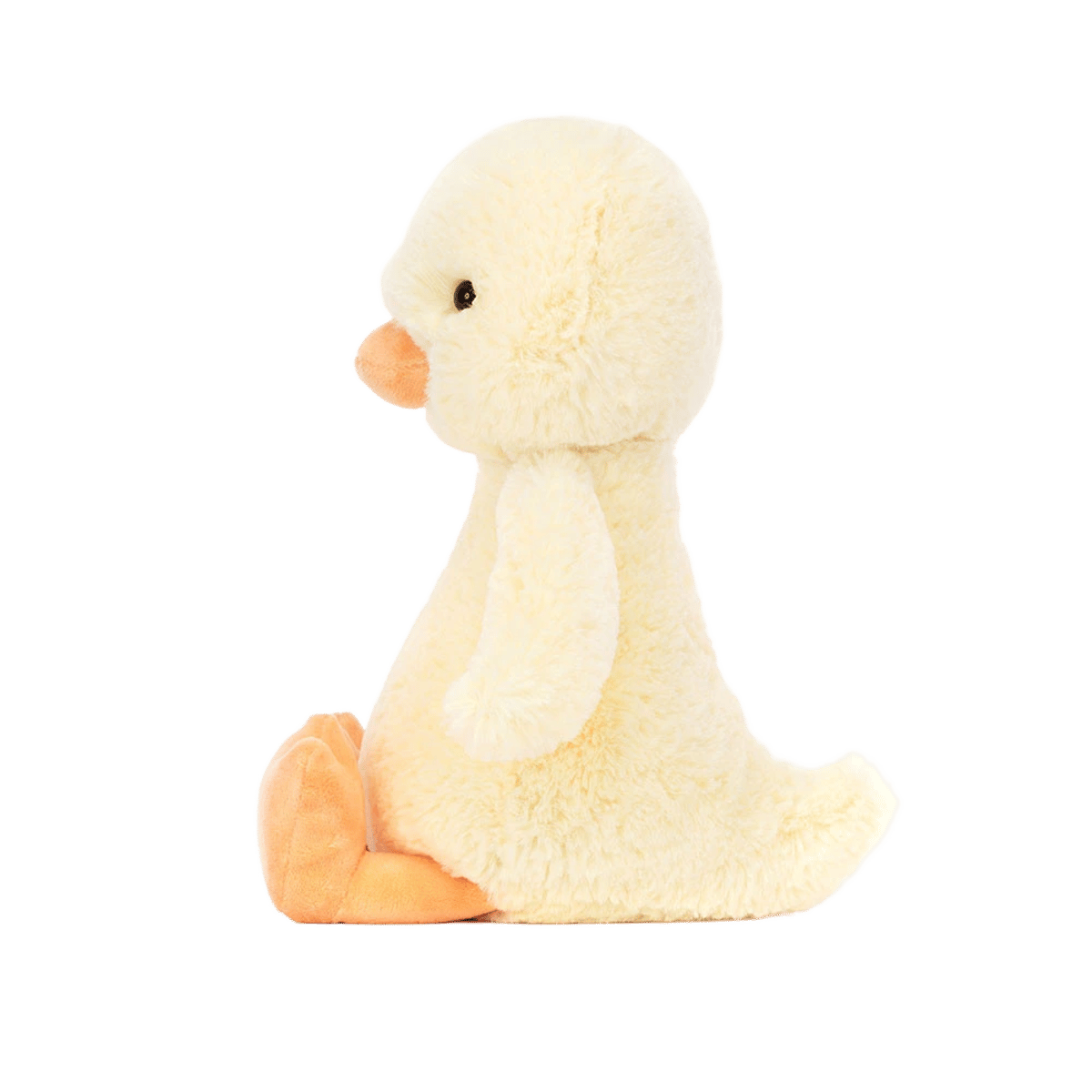 Bashful Duckling