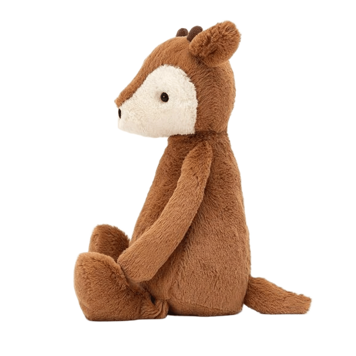 Bashful Fawn