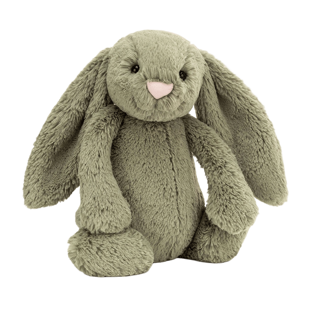 Bashful Fern Bunny