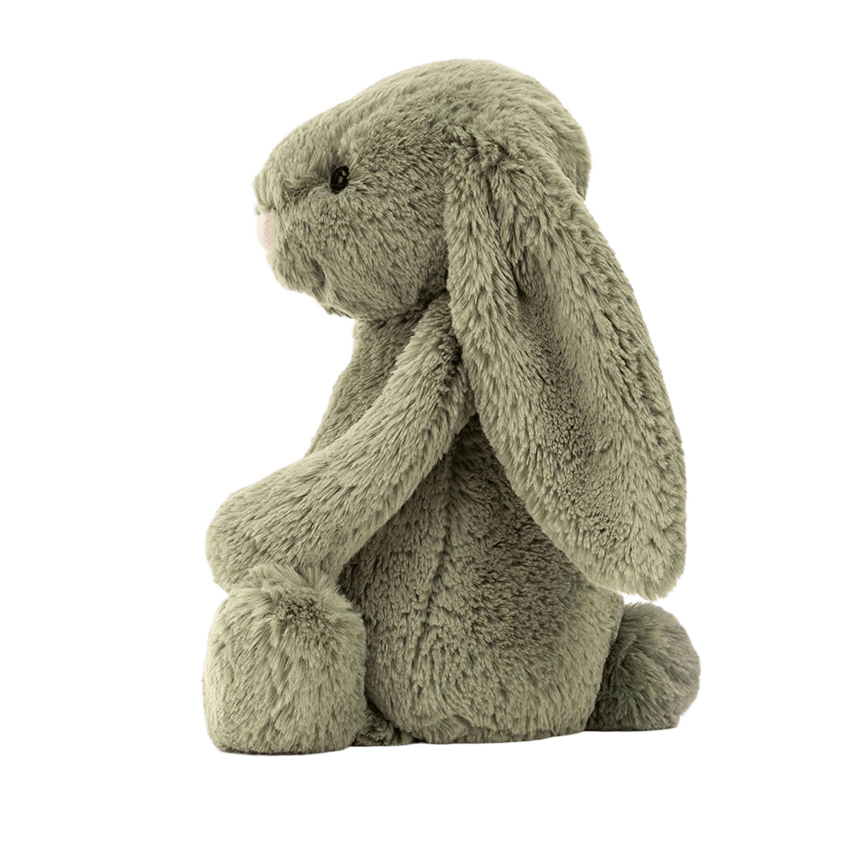 Bashful Fern Bunny