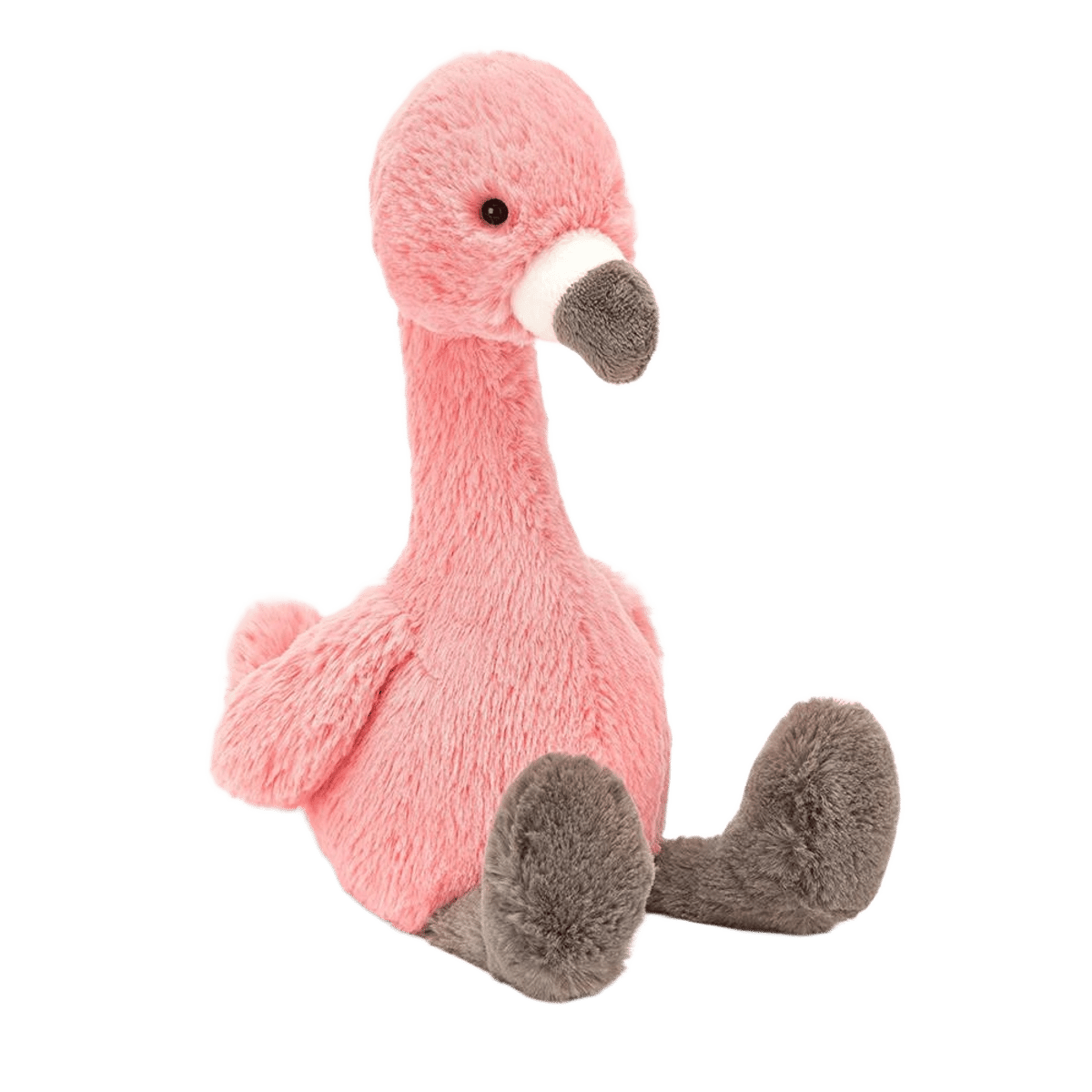 Bashful Flamingo