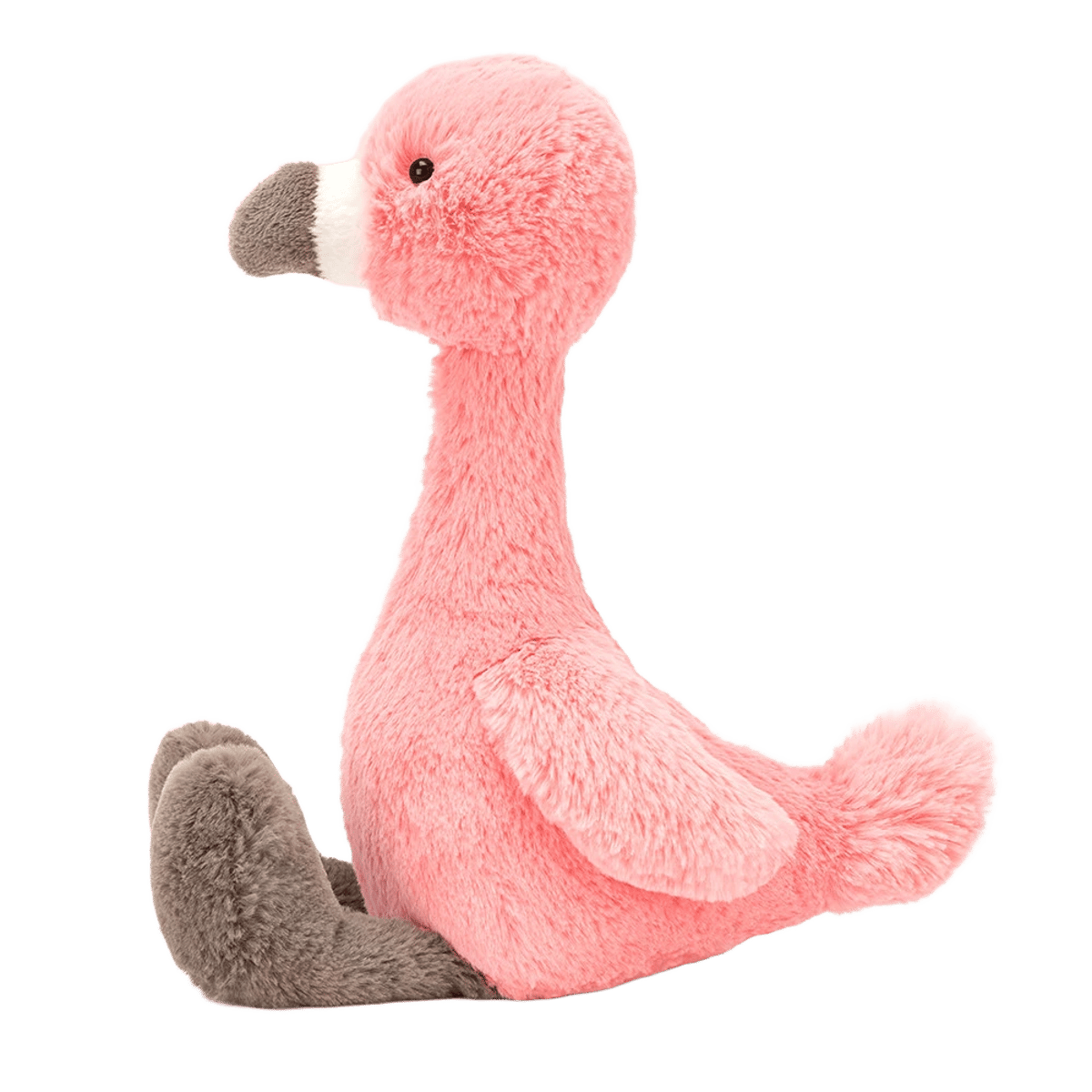 Bashful Flamingo