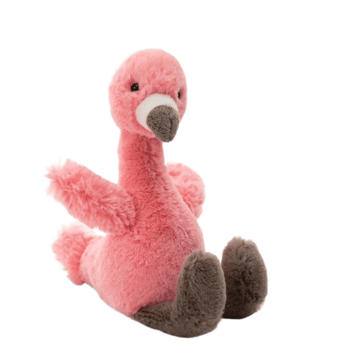 Bashful Flamingo