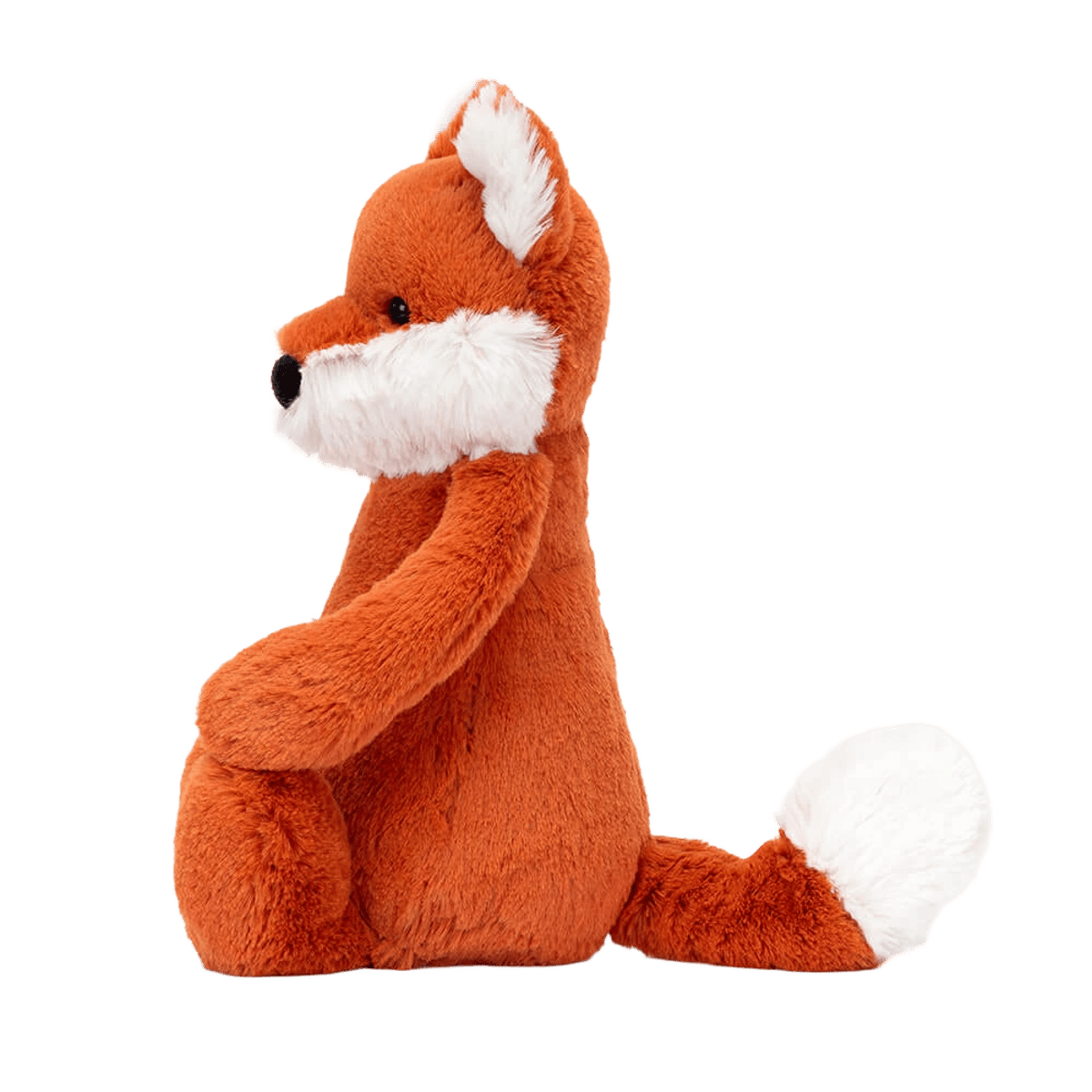 Bashful Fox Cub