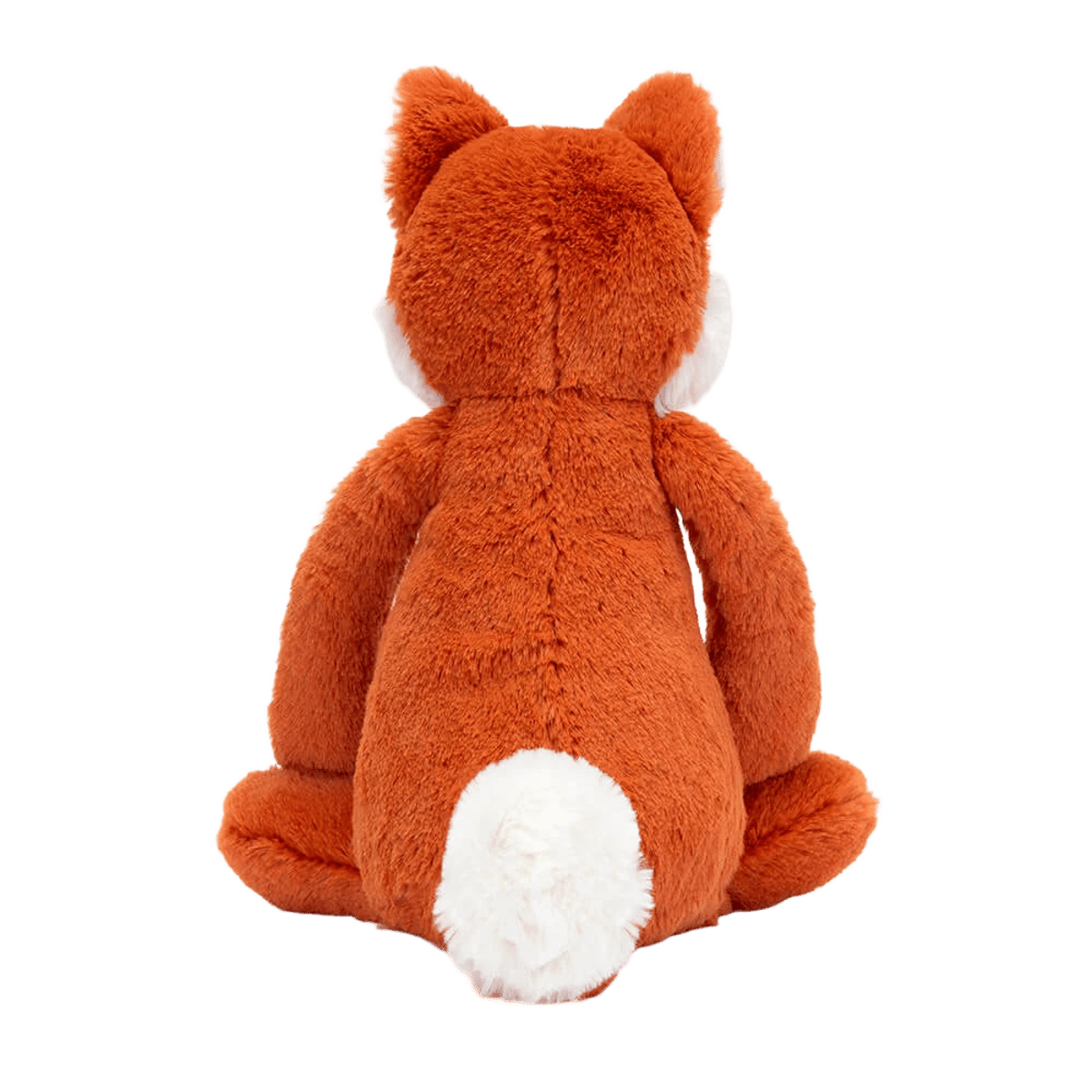 Bashful Fox Cub