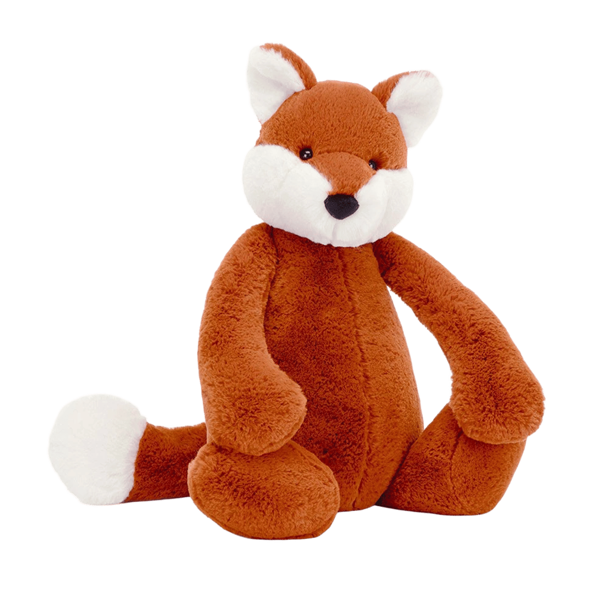 Bashful Fox Cub