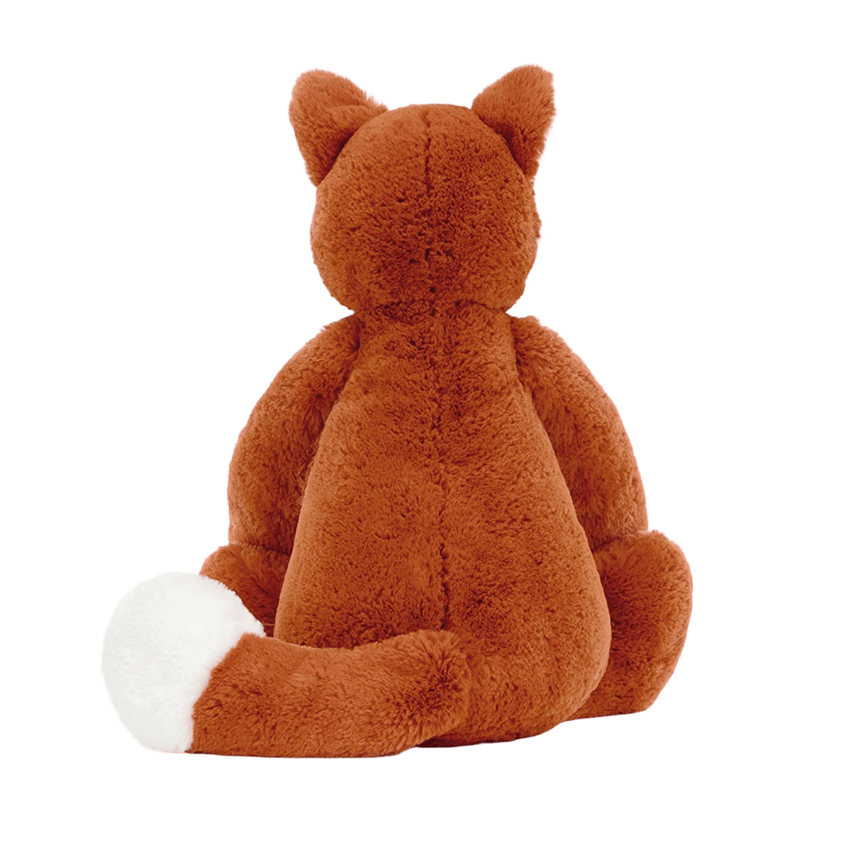 Bashful Fox Cub