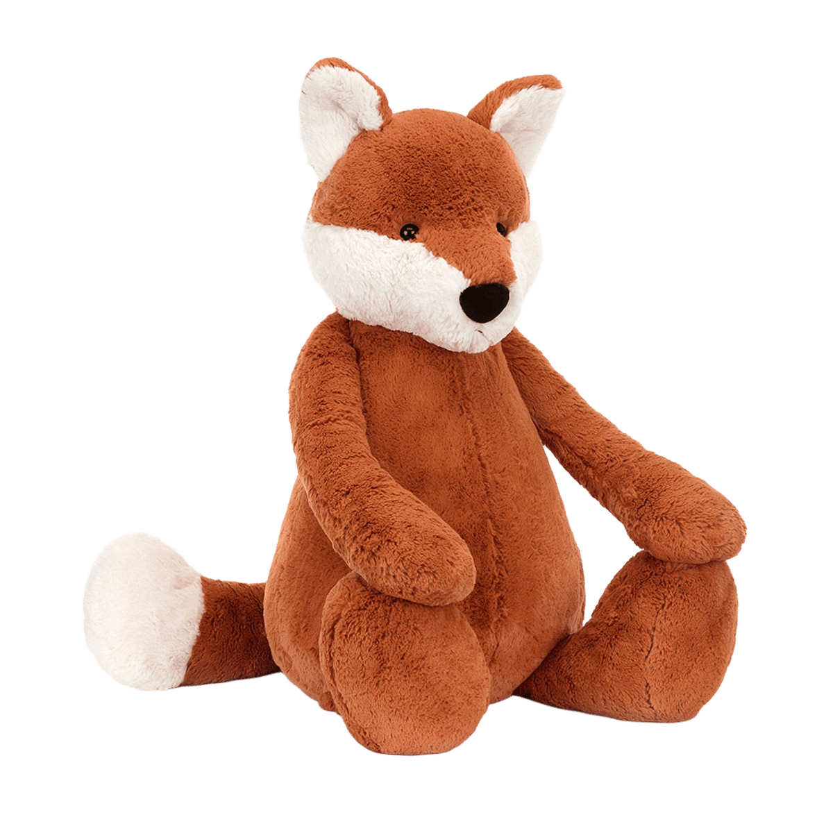 Bashful Fox Cub
