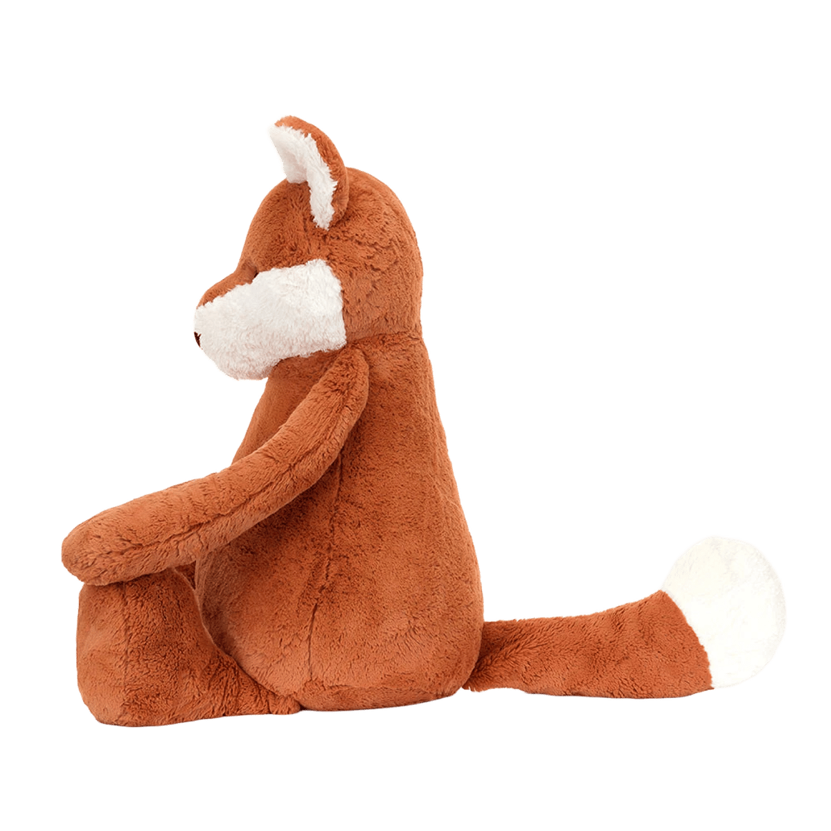 Bashful Fox Cub