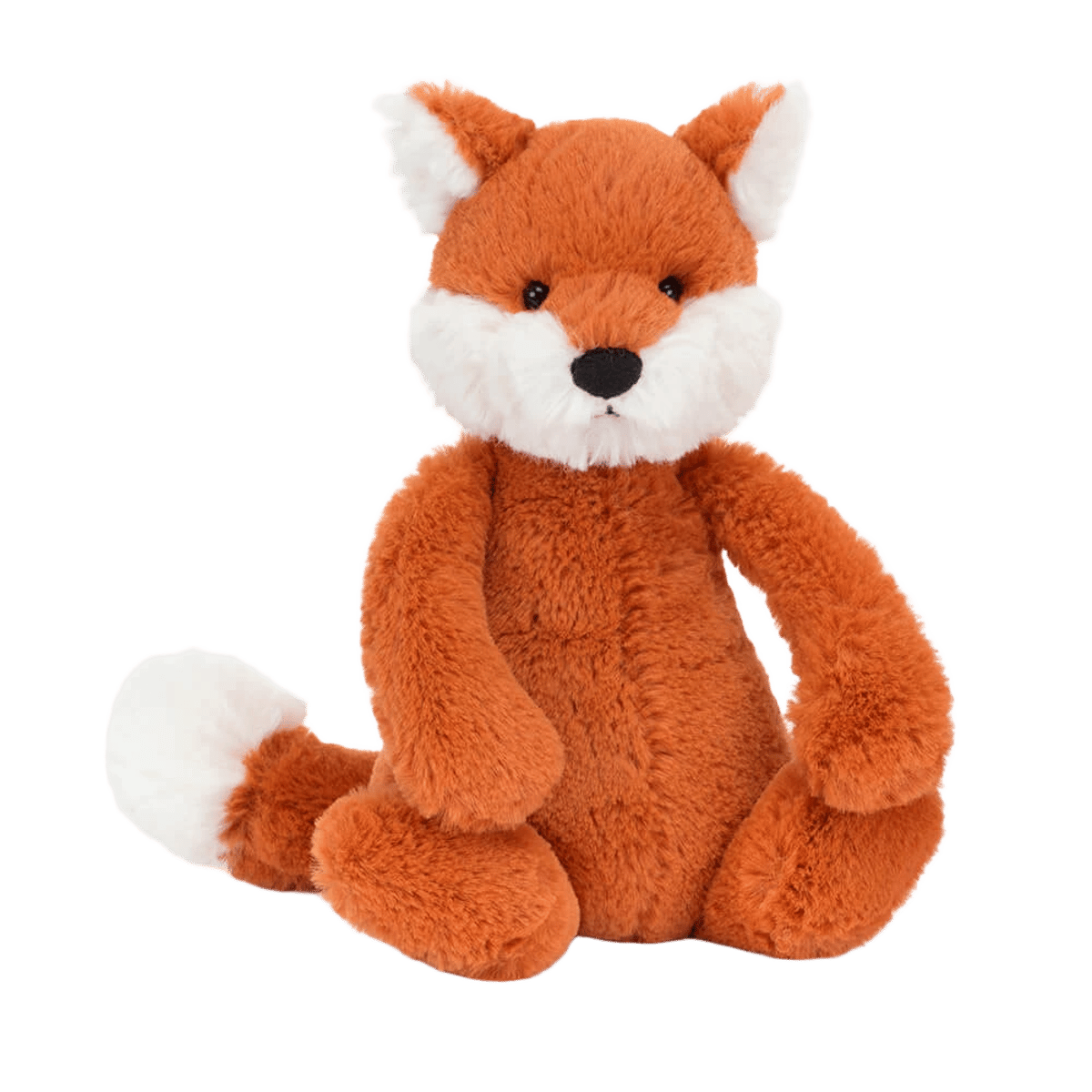 Bashful Fox Cub