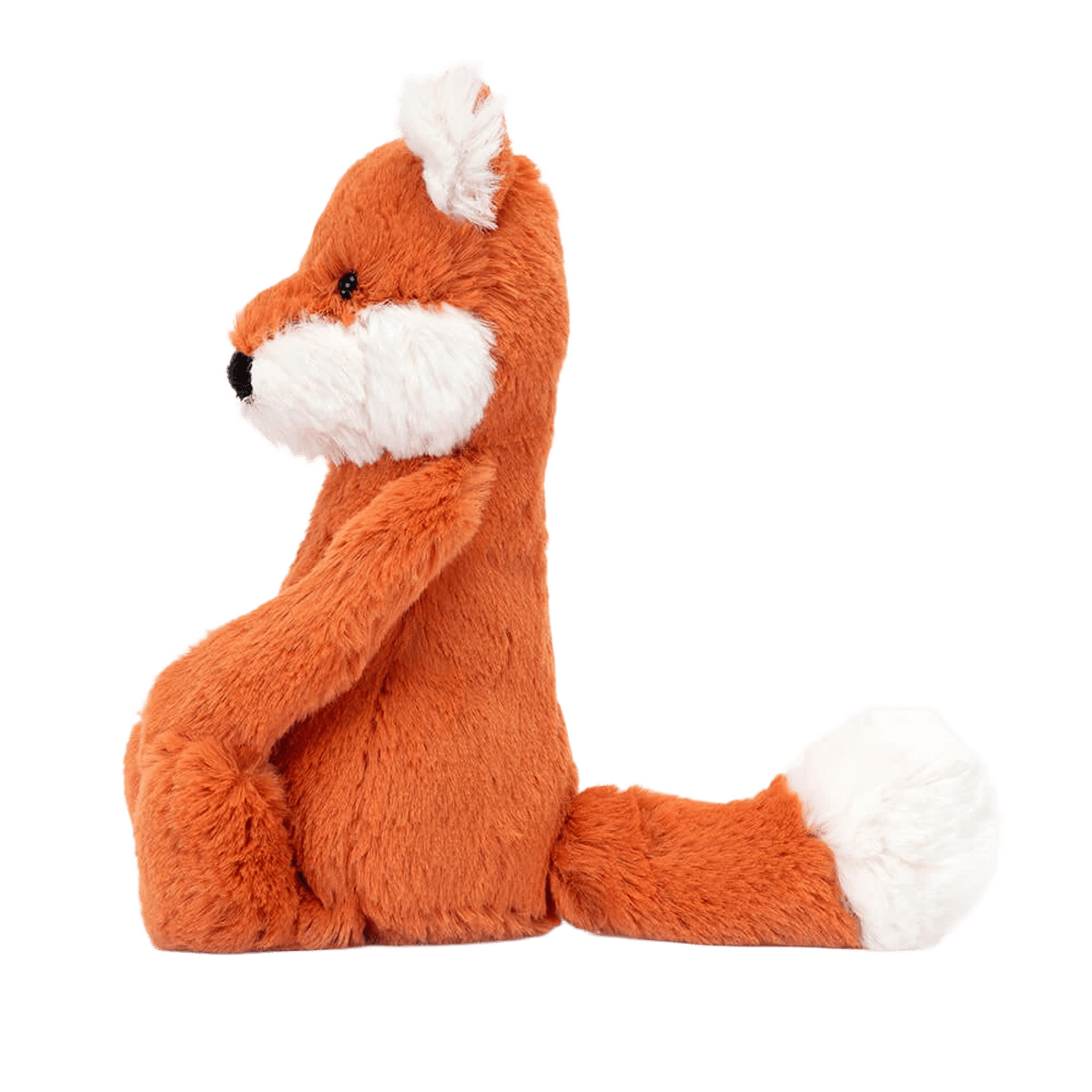 Bashful Fox Cub