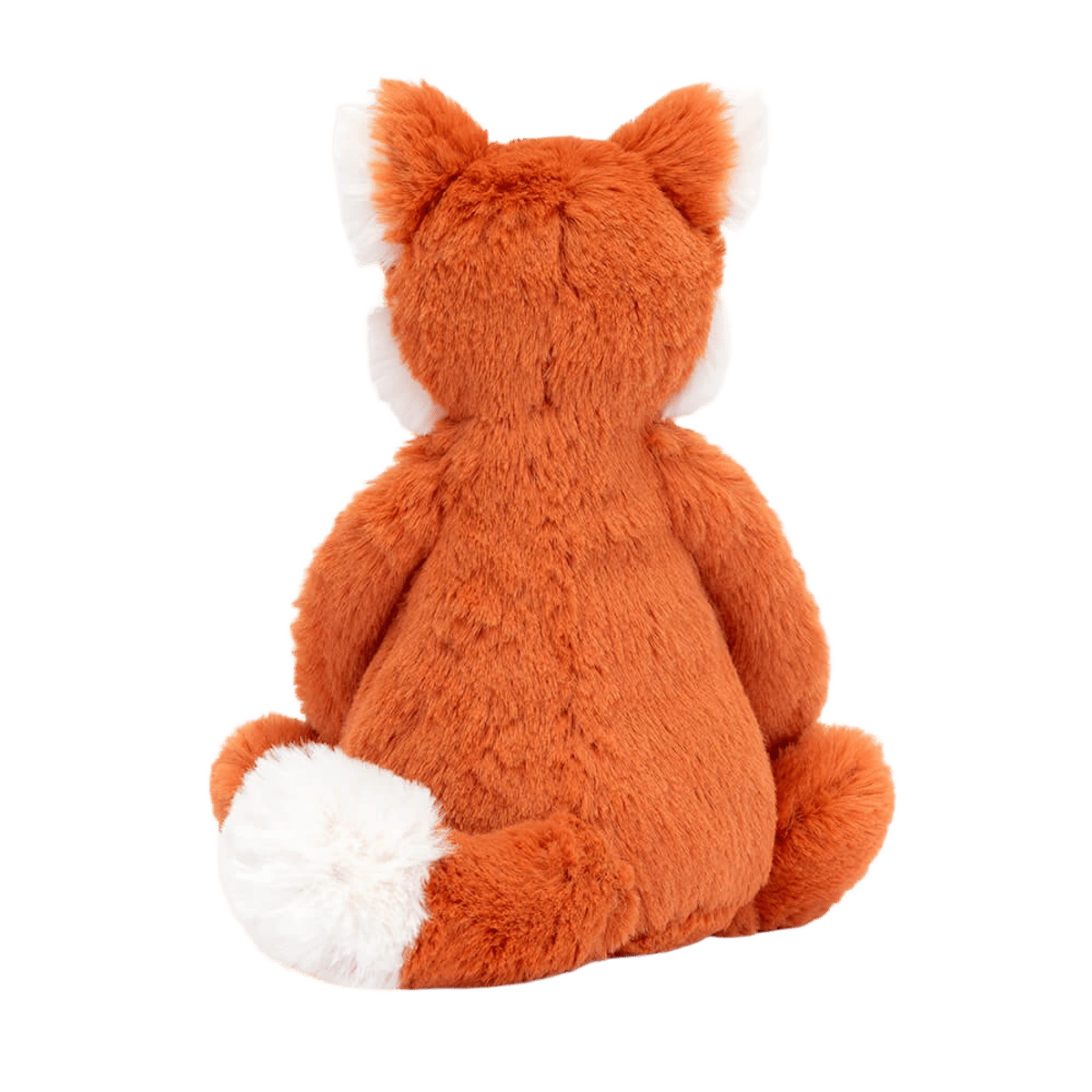 Bashful Fox Cub