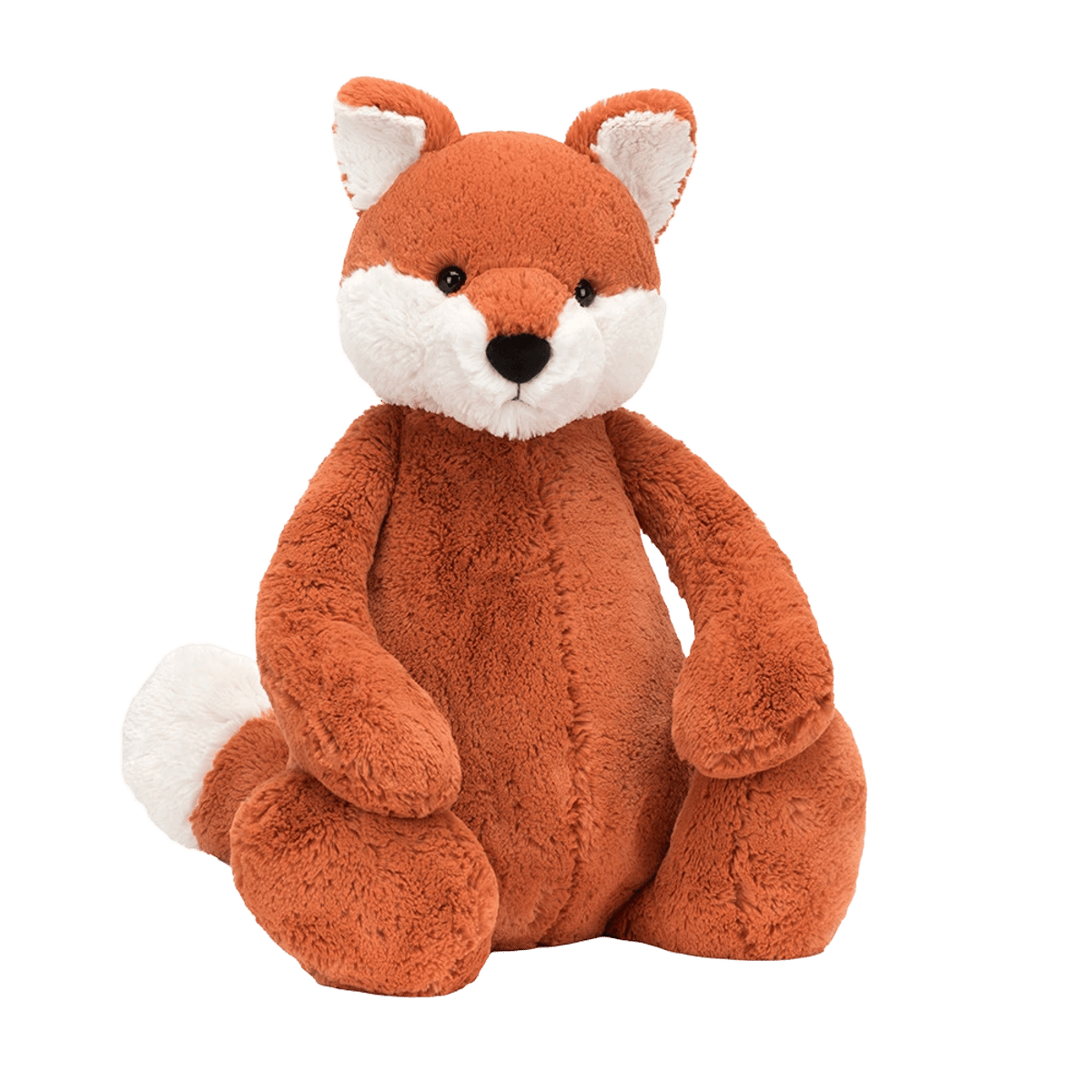 Bashful Fox Cub