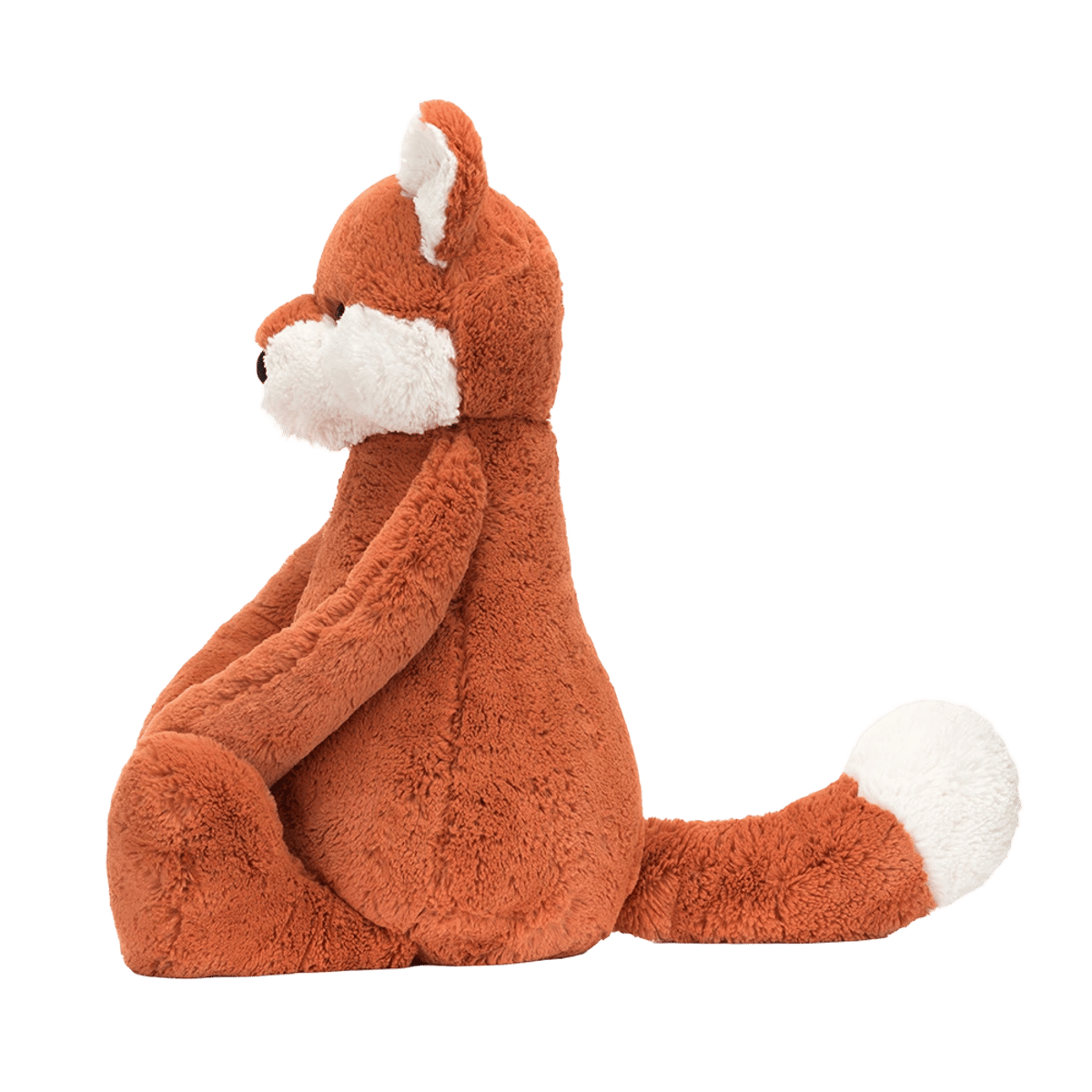 Bashful Fox Cub