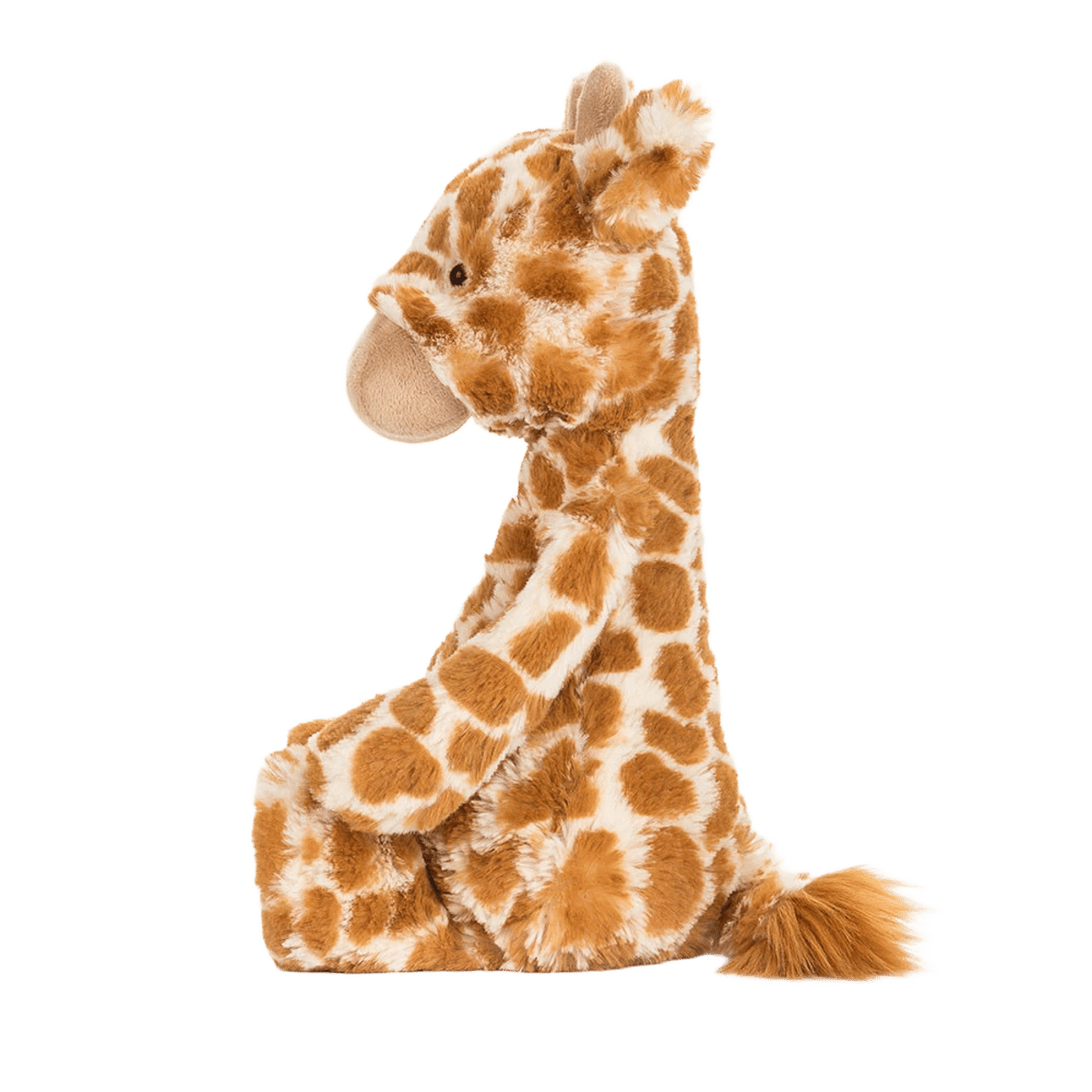 Bashful Giraffe