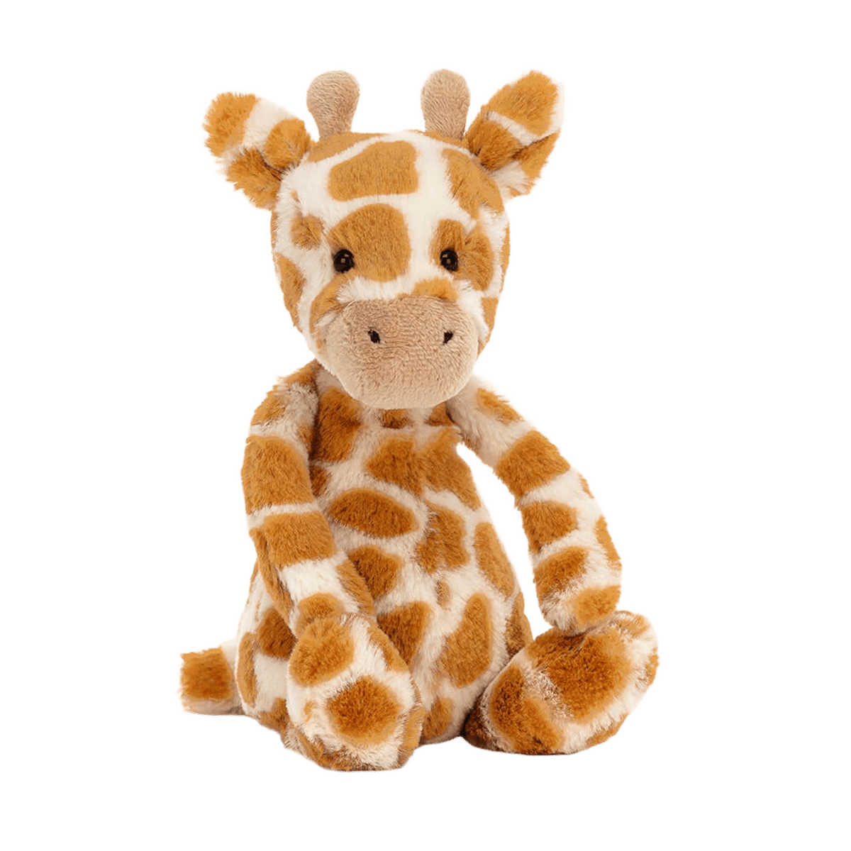 Bashful Giraffe