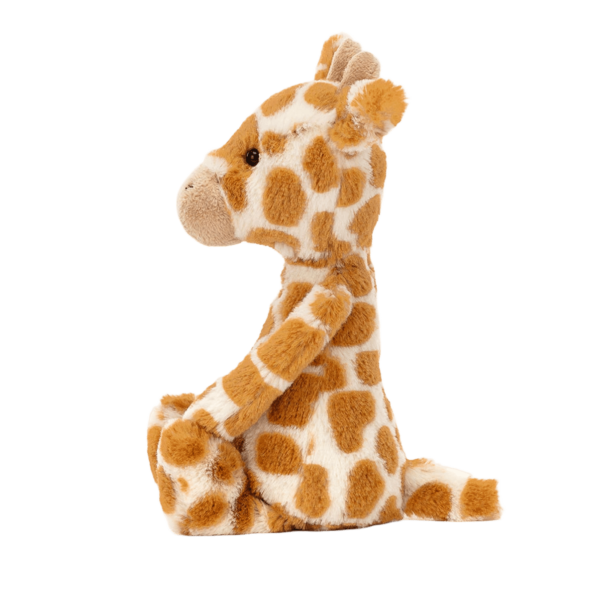 Bashful Giraffe