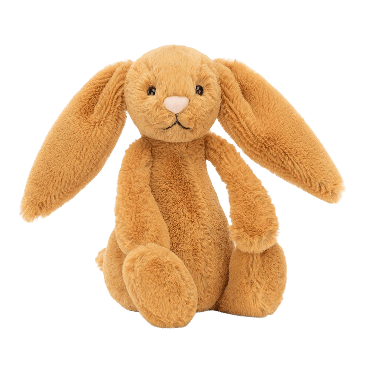 Bashful Golden Bunny