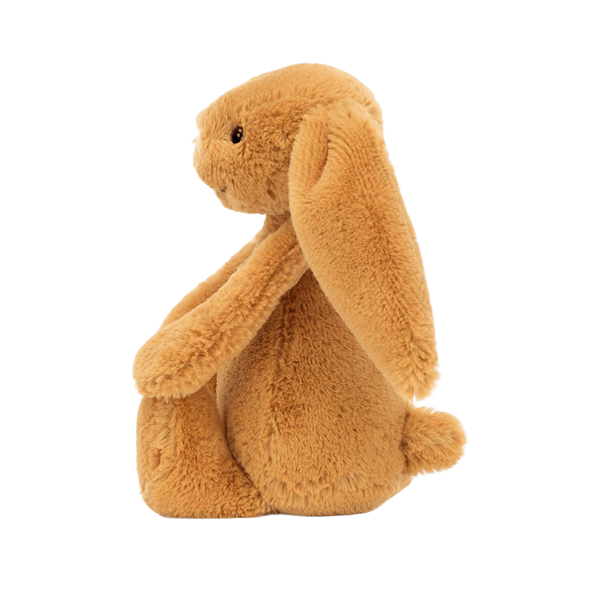 Bashful Golden Bunny