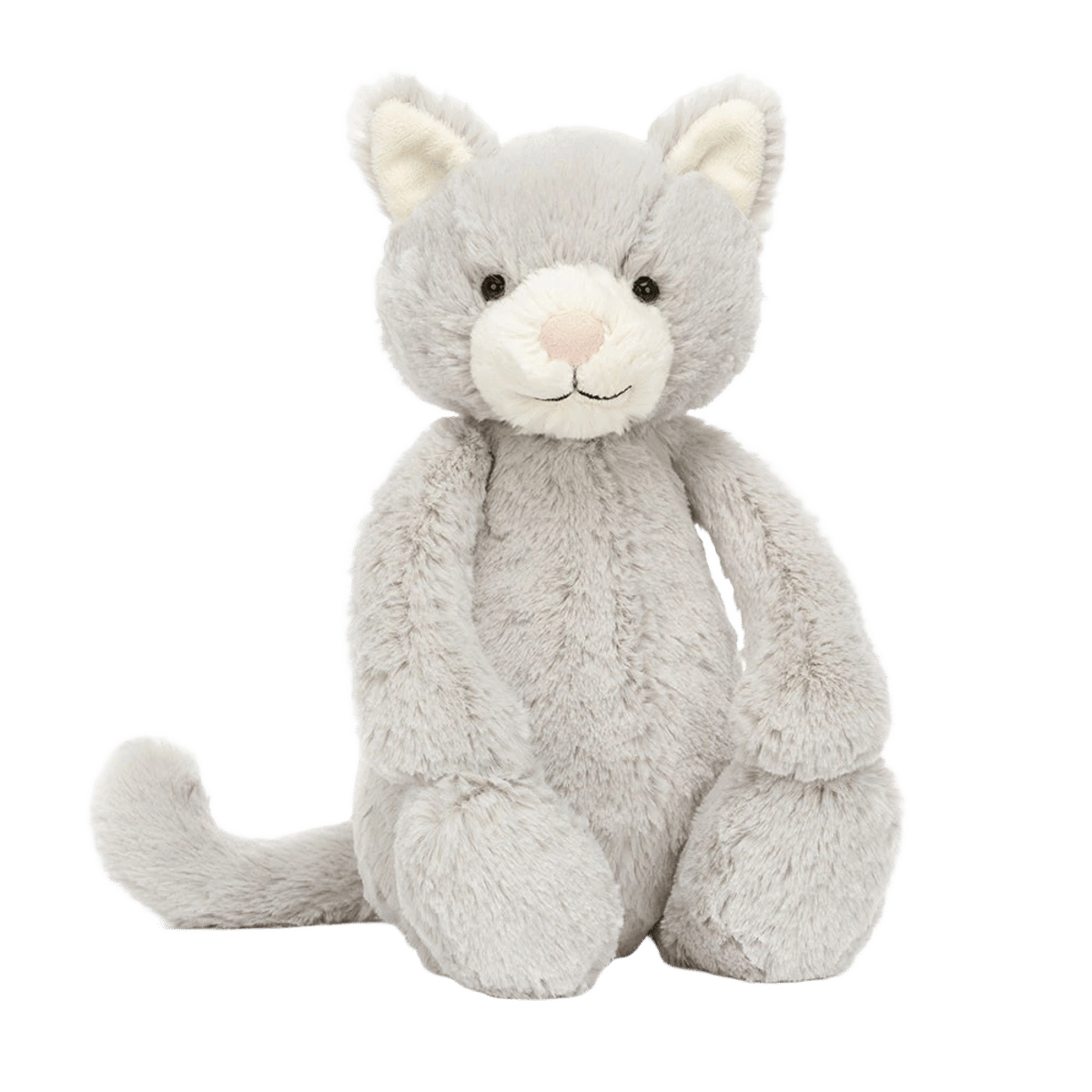 Bashful Grey Kitty