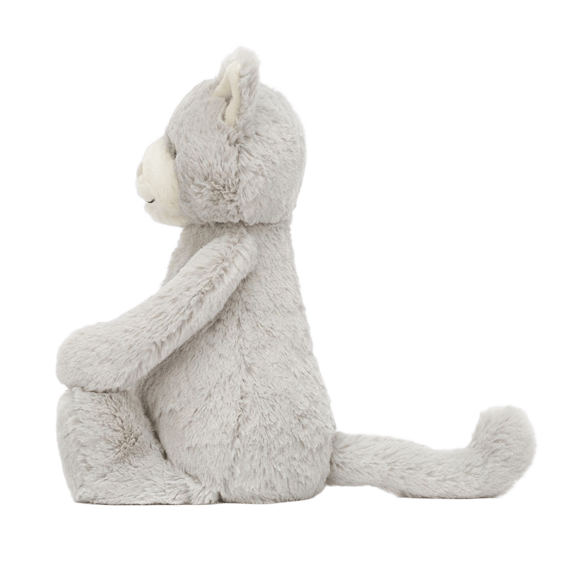 Bashful Grey Kitty