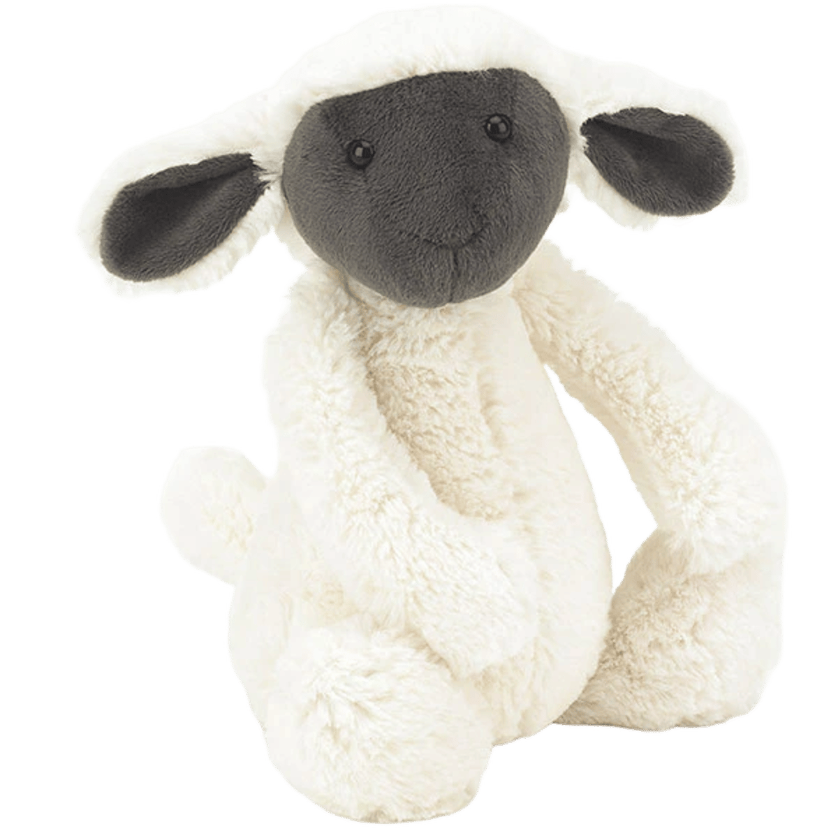Bashful Greyface Lamb