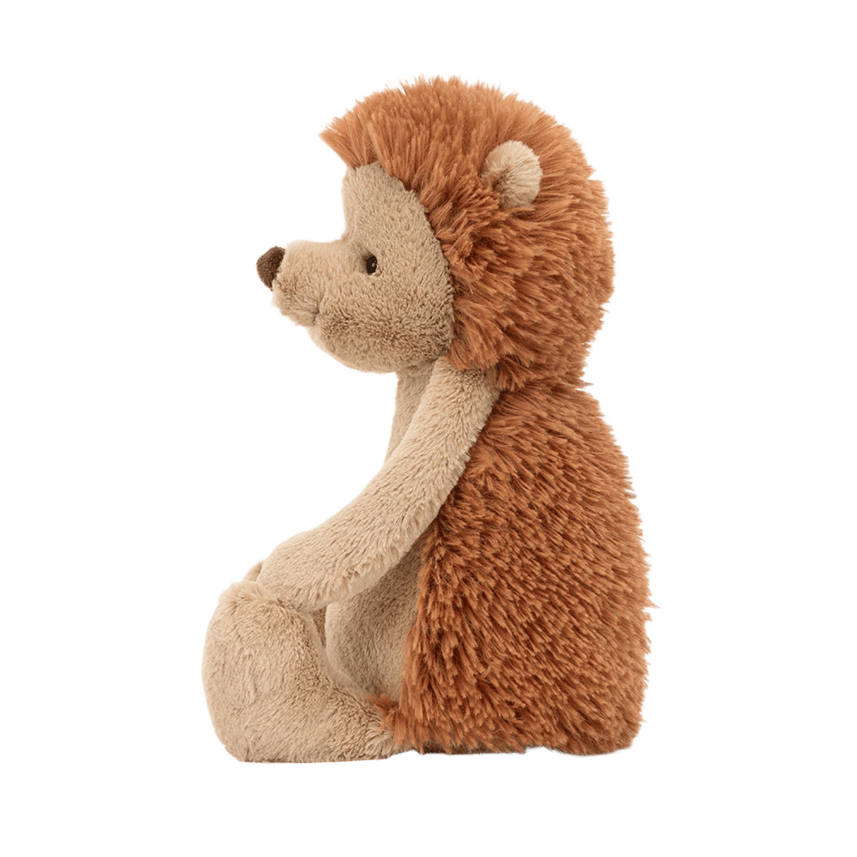 Bashful Hedgehog