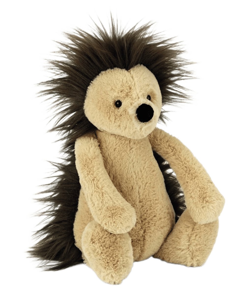 Bashful Hedgehog