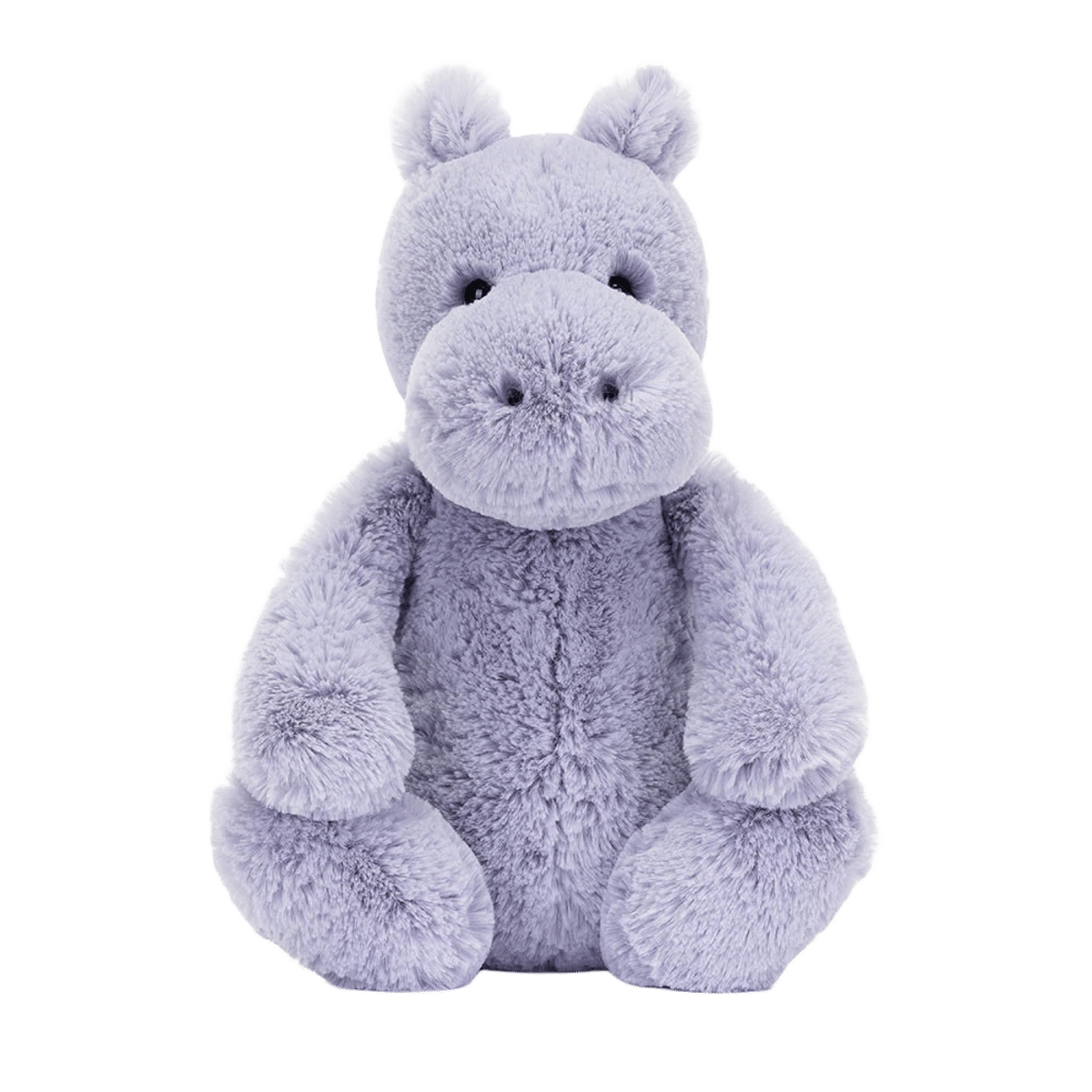 Bashful Hippo