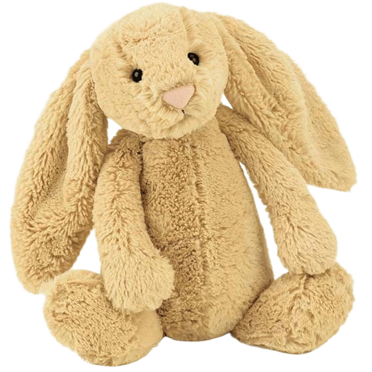 Bashful Honey Bunny