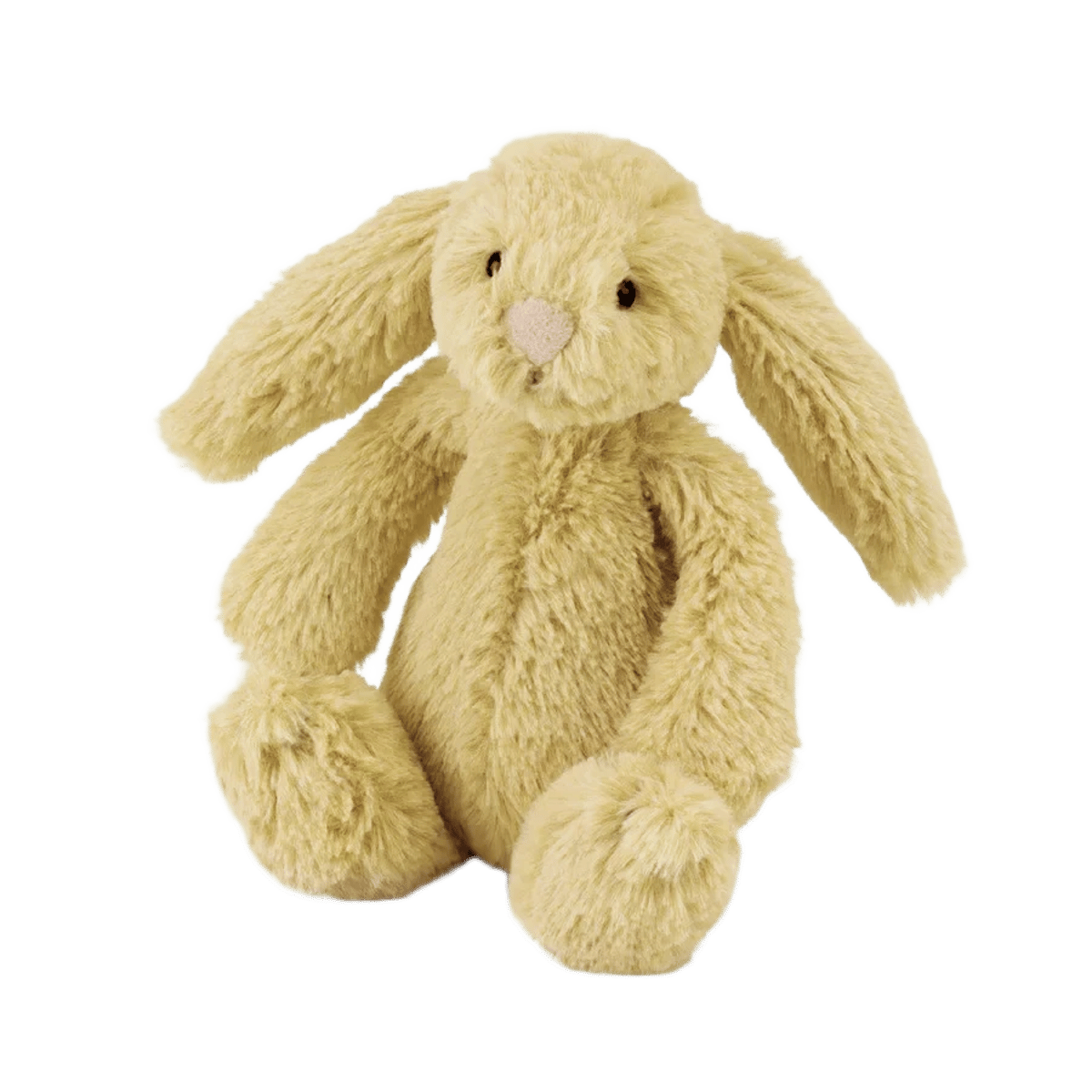 Bashful Honey Bunny