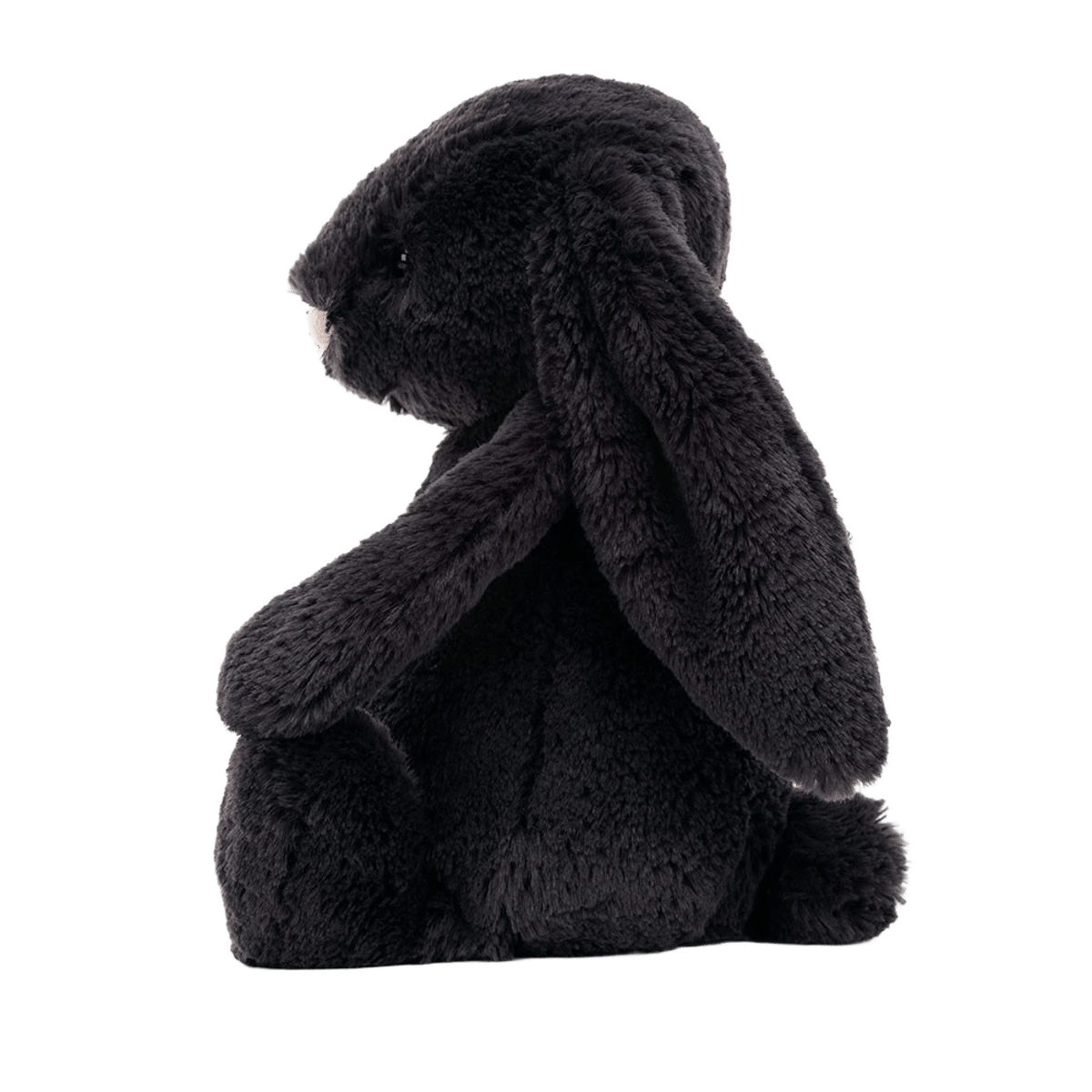Bashful Inky Bunny