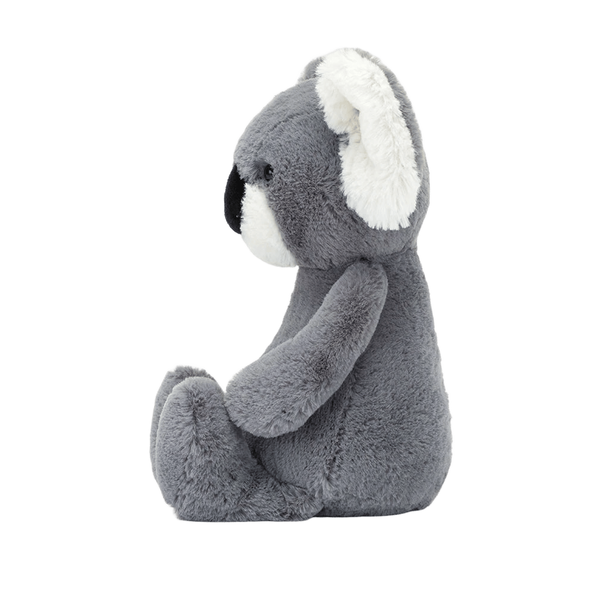 Bashful Koala 2022