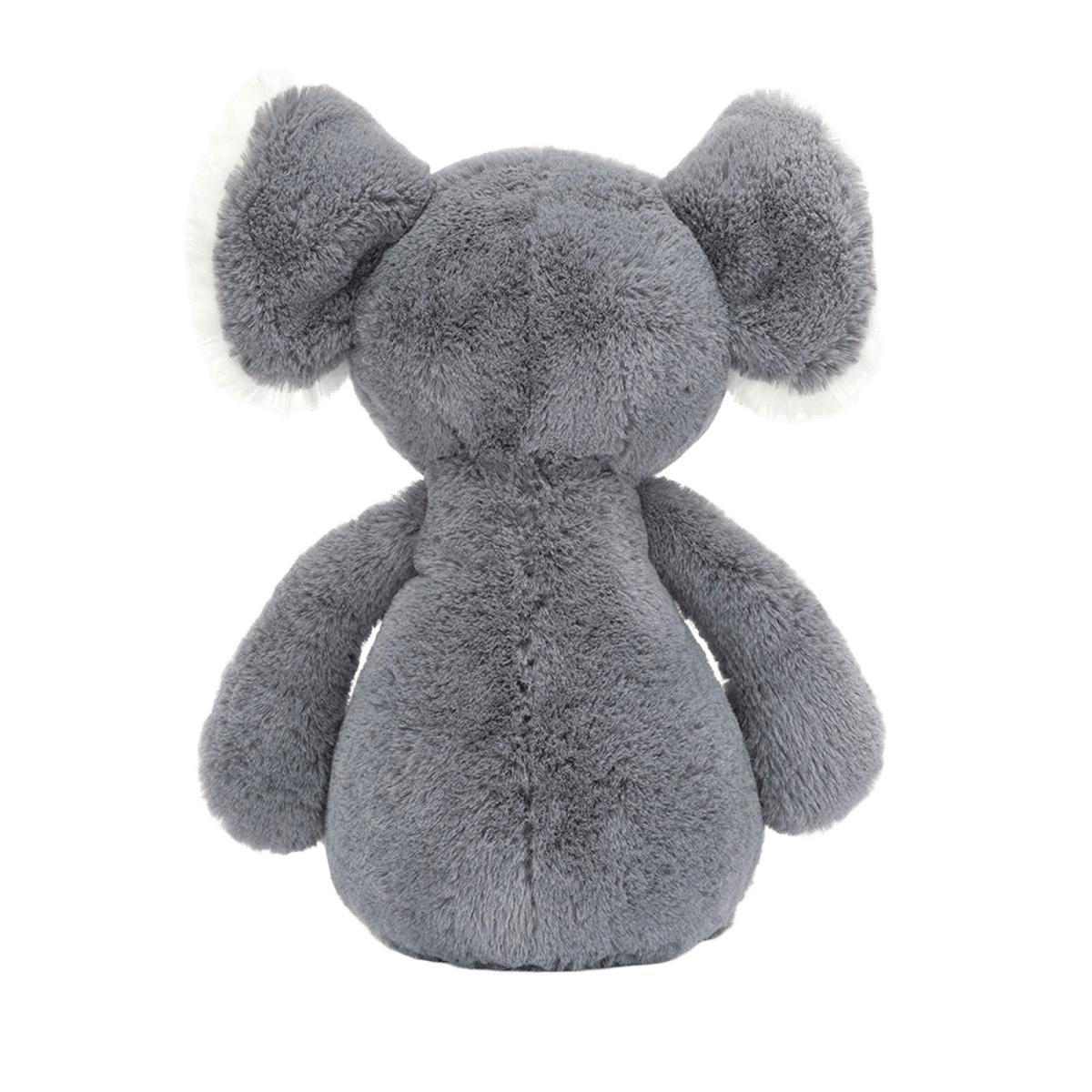 Bashful Koala 2022