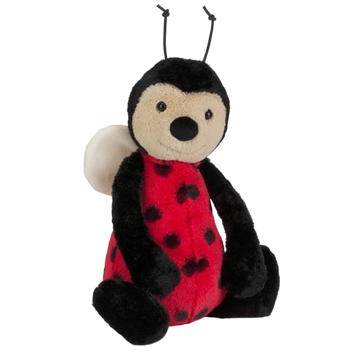 Bashful Ladybird