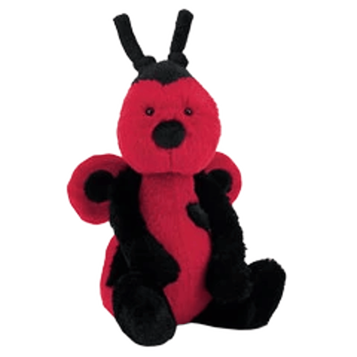 Bashful Ladybird