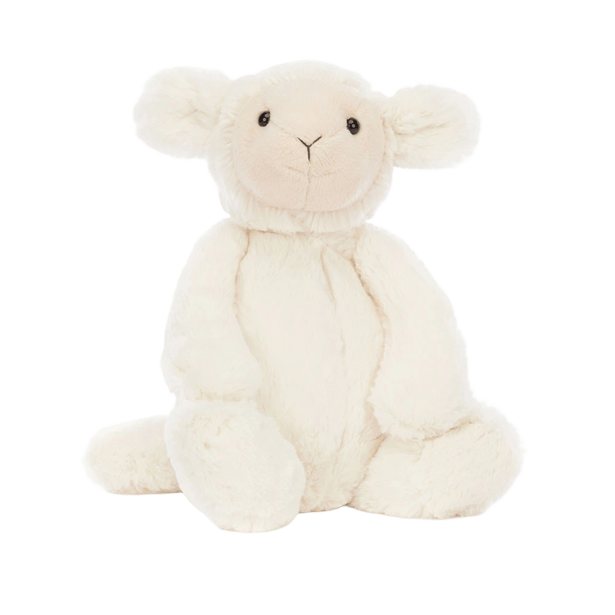 Bashful Lamb