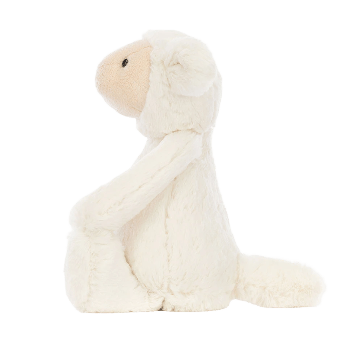 Bashful Lamb