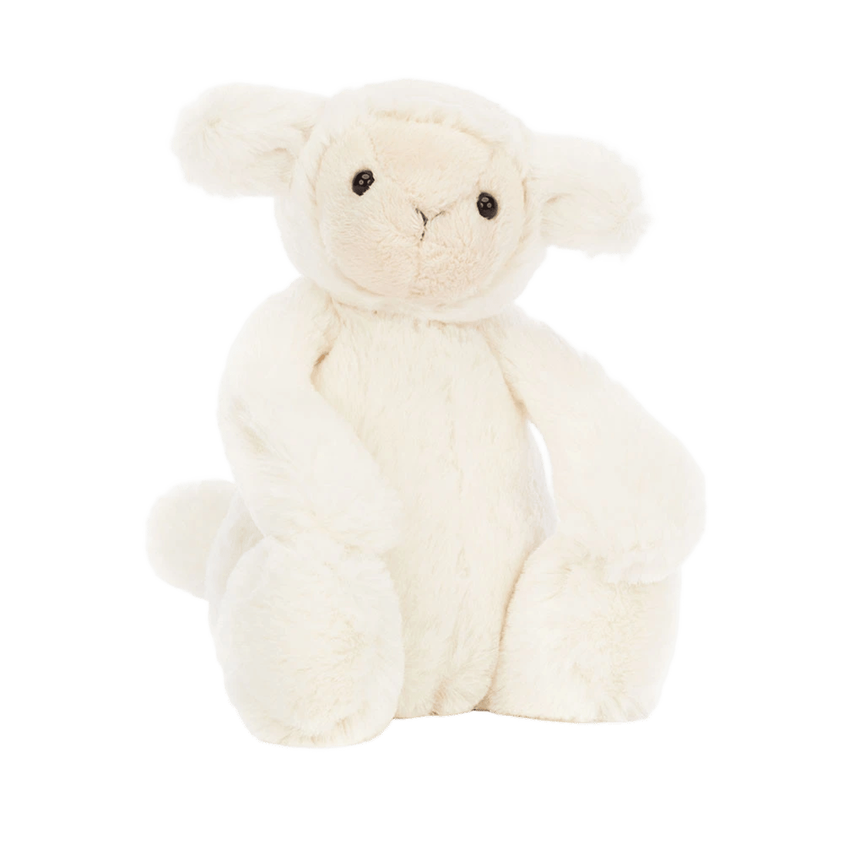 Bashful Lamb