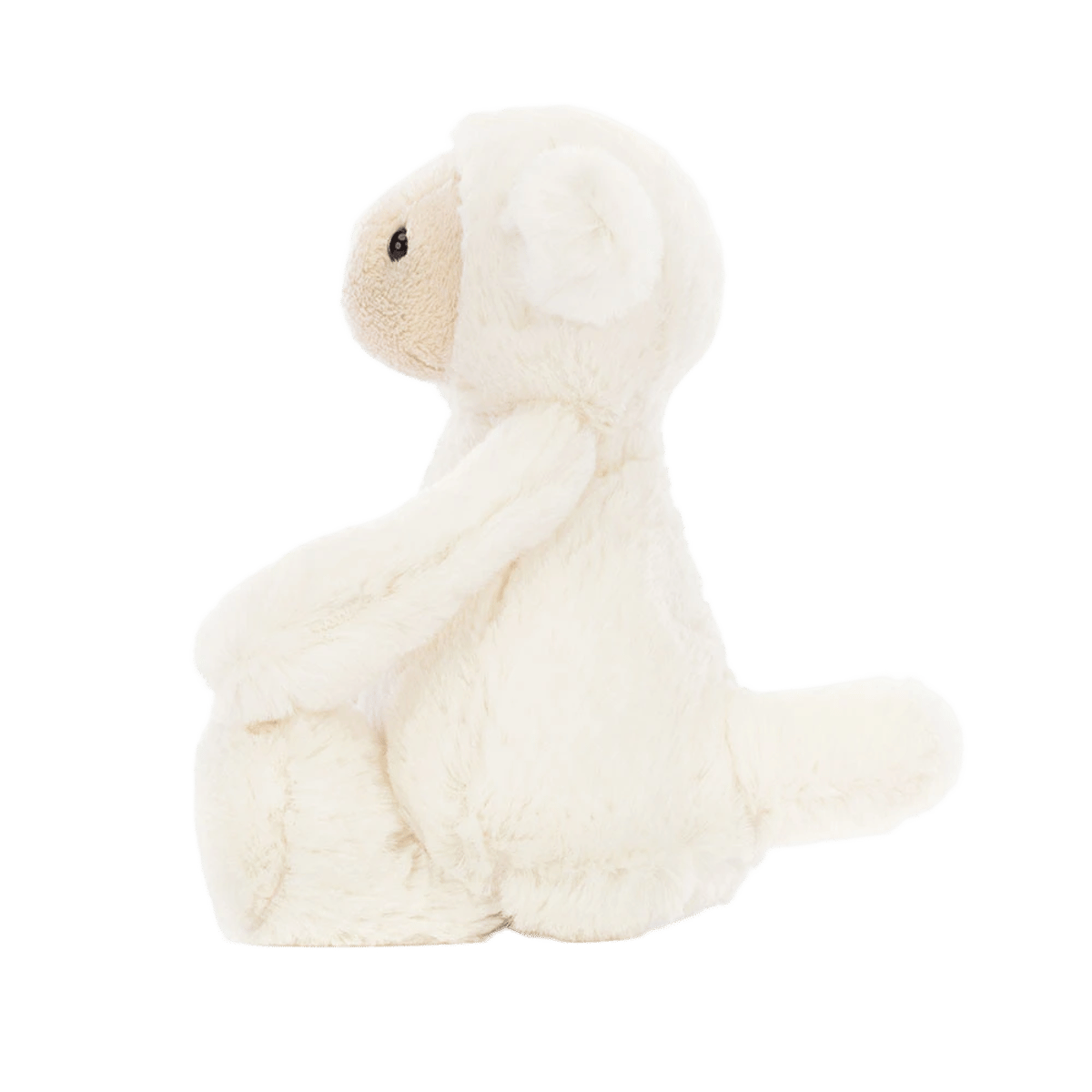 Bashful Lamb